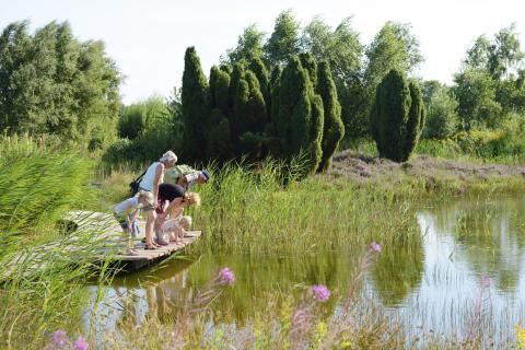 RCN Vakantiepark de Noordster