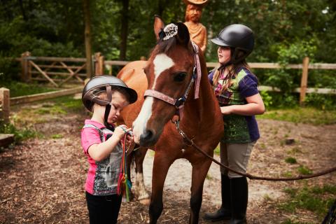 Indoor activiteiten limburg belgie